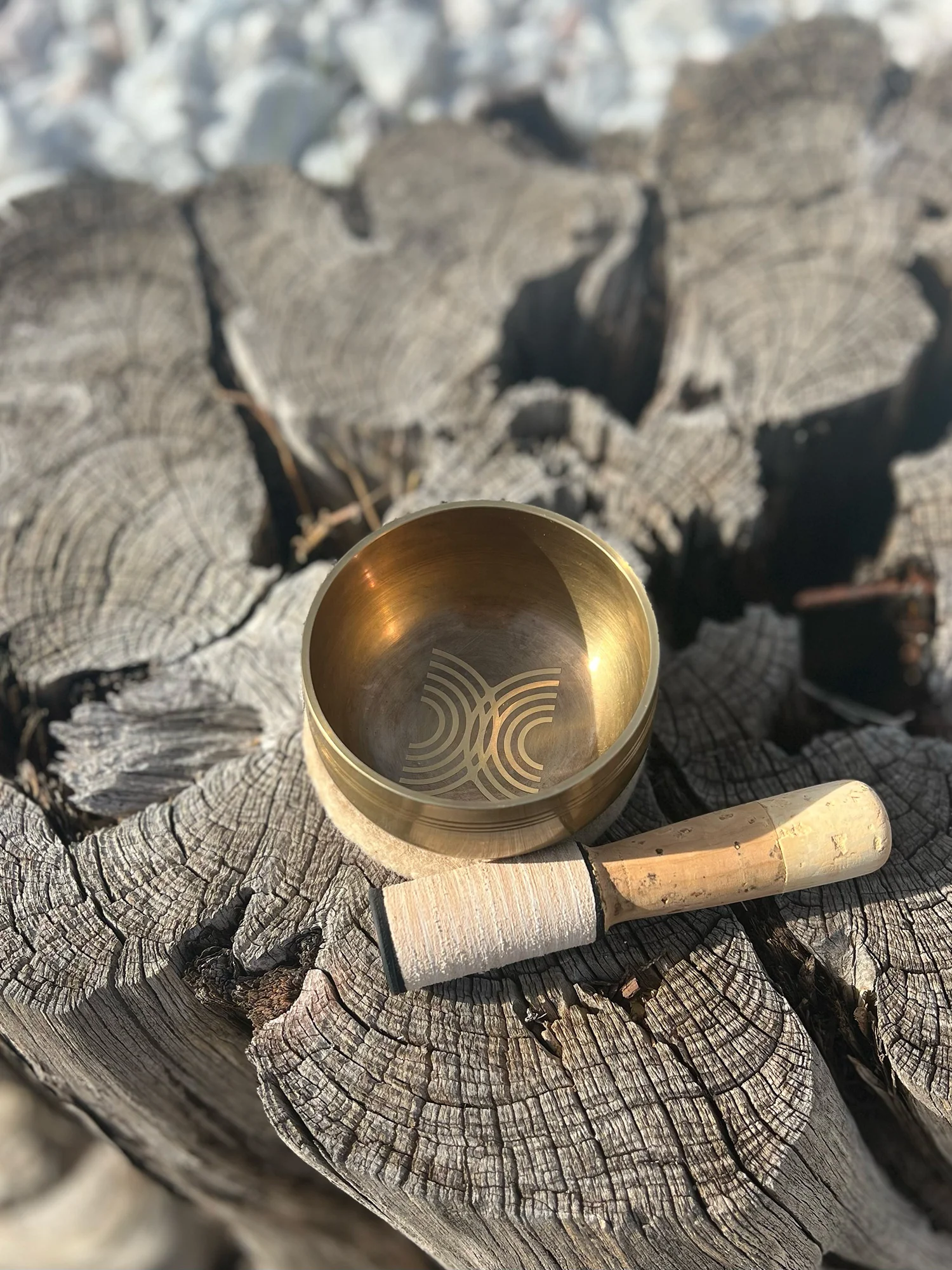 The Auster Bowl - 4 inch | Special Collaboration Limited Release - Image 6